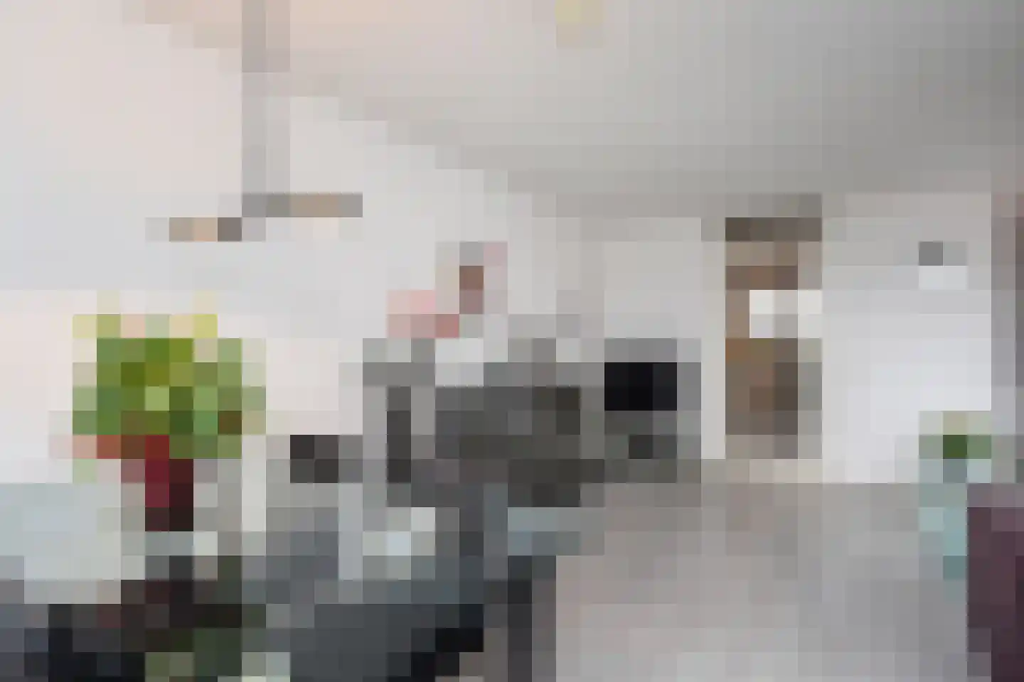 Laan van Wateringse Veld 1039 Den Haag thumbnail 13
