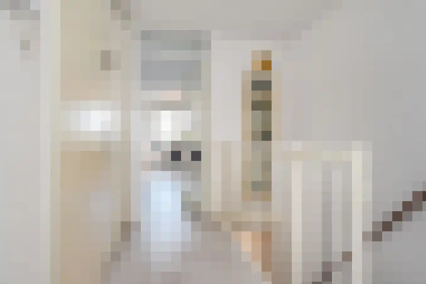 Laan van Wateringse Veld 1039 Den Haag thumbnail 21