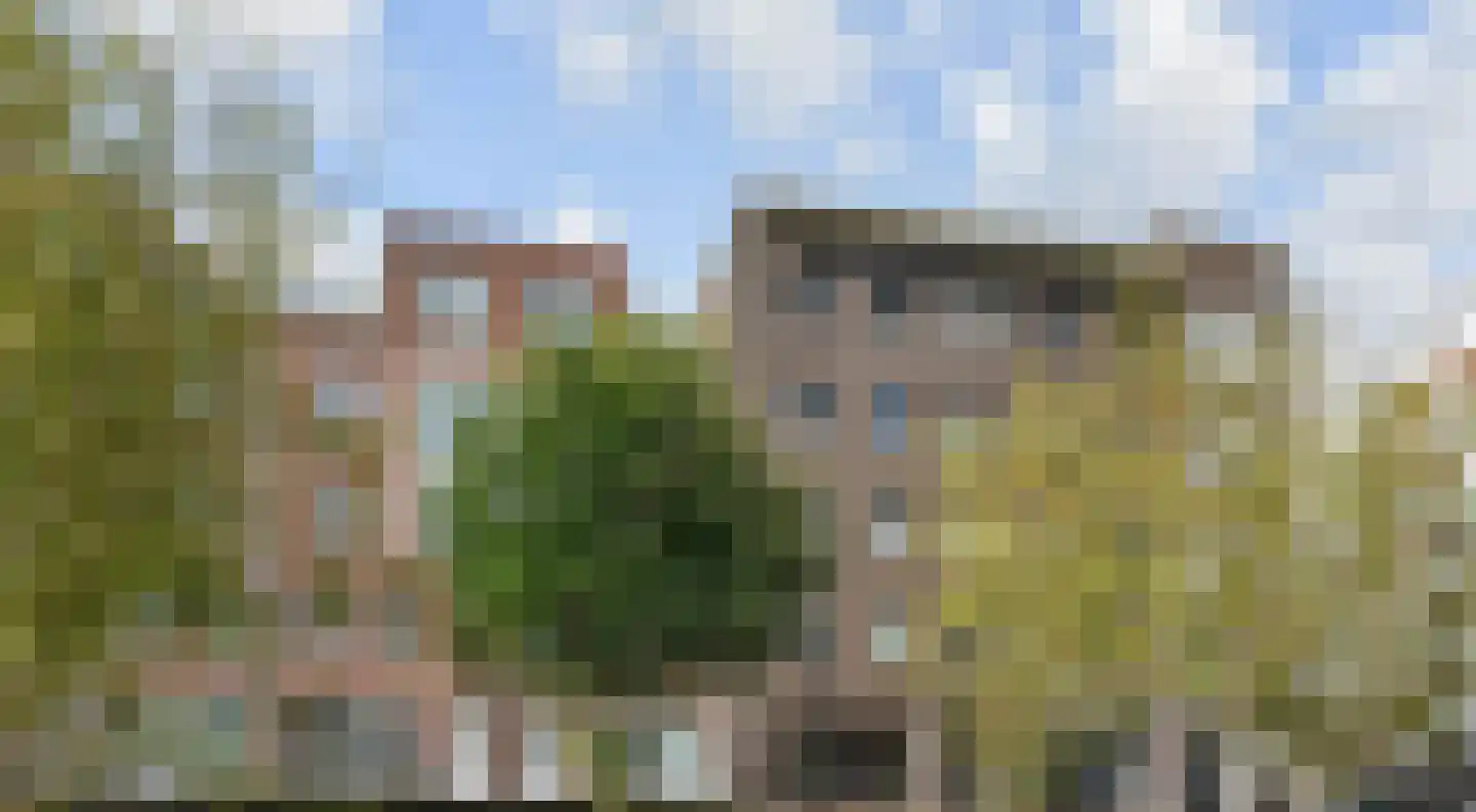 Laan van Wateringse Veld 1039 Den Haag thumbnail 28