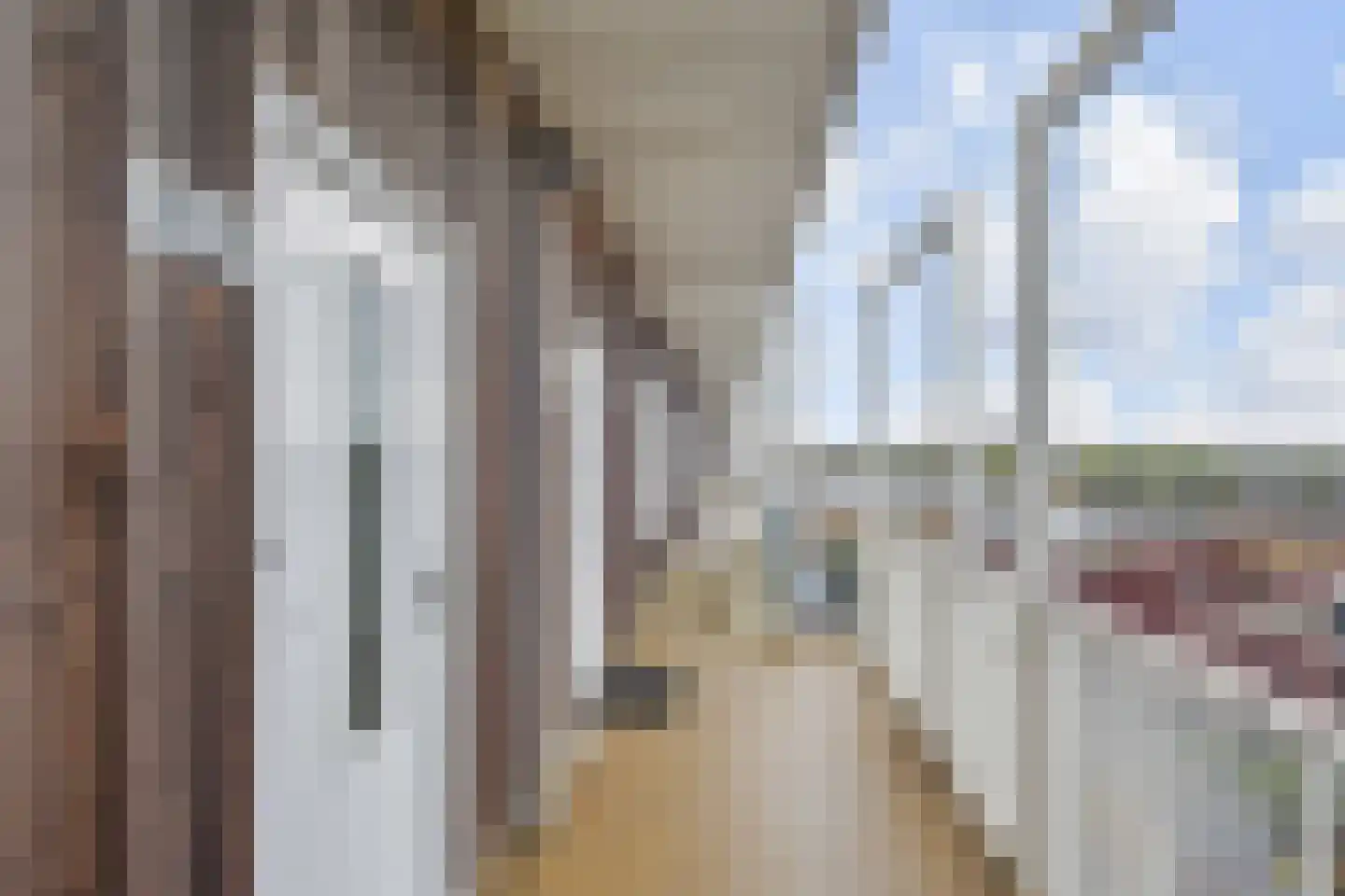 Laan van Wateringse Veld 1039 Den Haag thumbnail 5