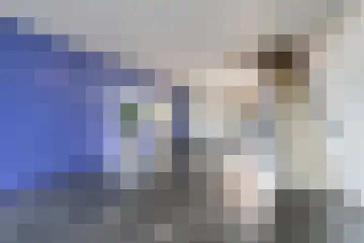 Laan van Wateringse Veld 104 Den Haag thumbnail 10