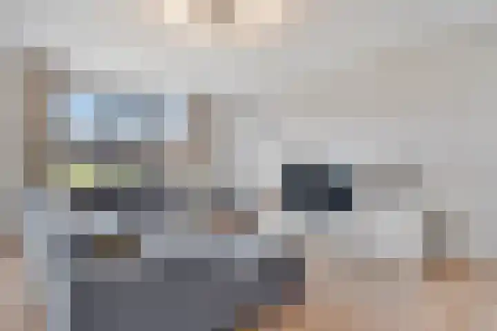Laan van Wateringse Veld 104 Den Haag thumbnail 25