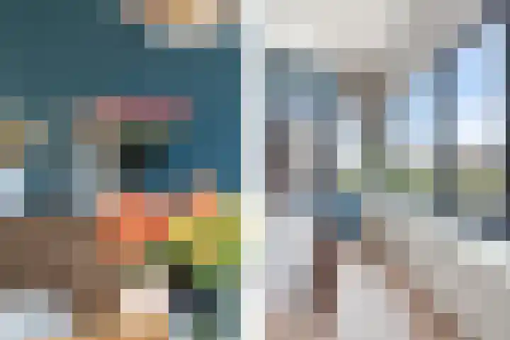 Laan van Wateringse Veld 104 Den Haag thumbnail 32