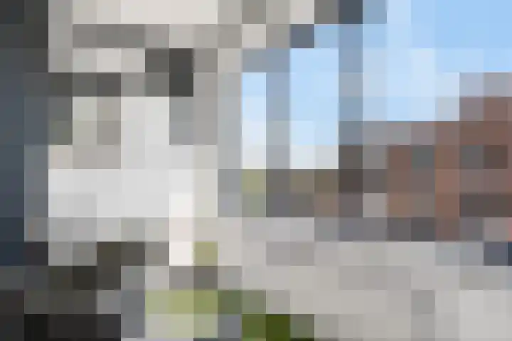 Laan van Wateringse Veld 104 Den Haag thumbnail 36