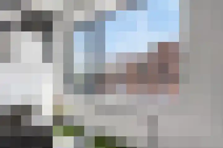 Laan van Wateringse Veld 104 Den Haag thumbnail 37