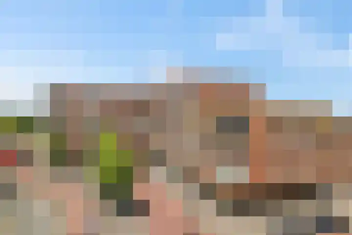 Laan van Wateringse Veld 104 Den Haag thumbnail 4