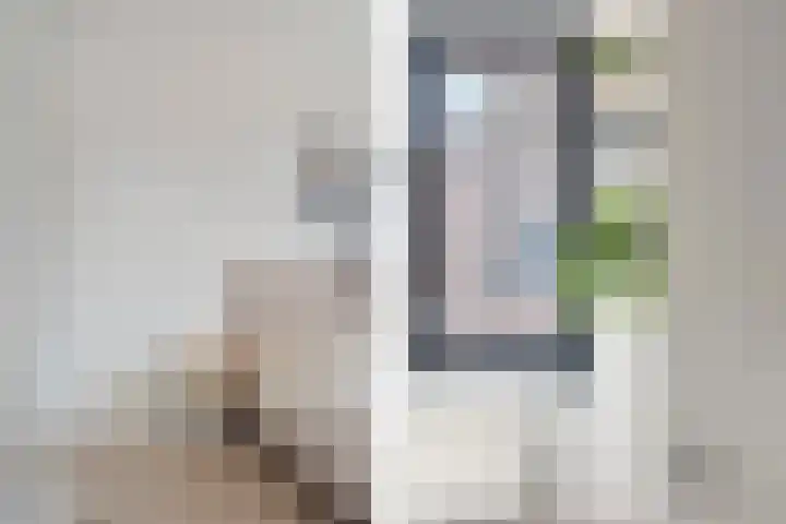 Laan van Wateringse Veld 104 Den Haag thumbnail 43