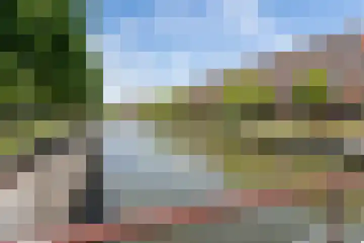 Laan van Wateringse Veld 104 Den Haag thumbnail 52