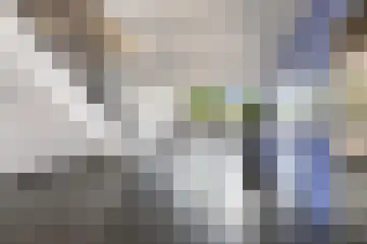 Laan van Wateringse Veld 104 Den Haag thumbnail 9