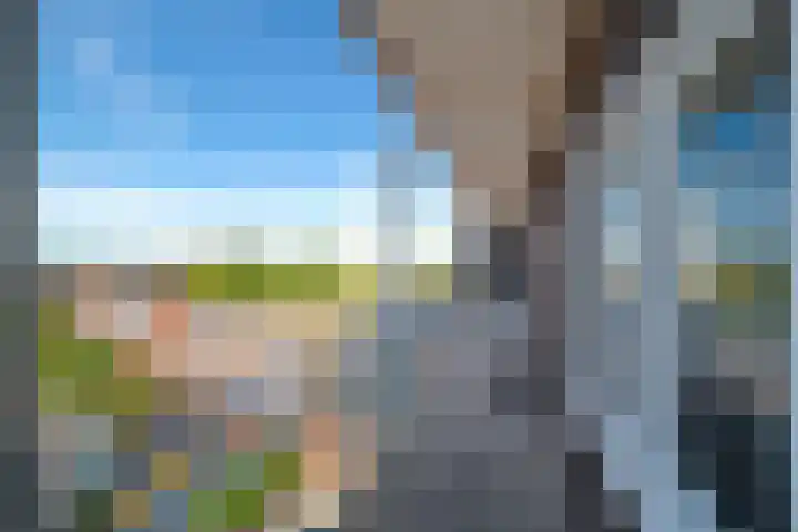 Laan van Wateringse Veld 1041 Den Haag thumbnail 25