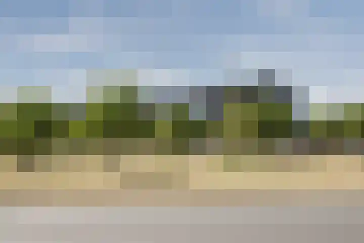 Laan van Wateringse Veld 1041 Den Haag thumbnail 27