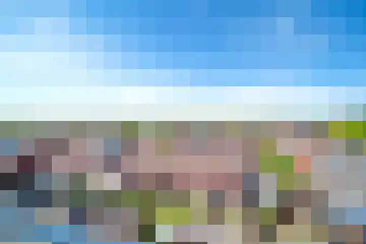 Laan van Wateringse Veld 1041 Den Haag thumbnail 30