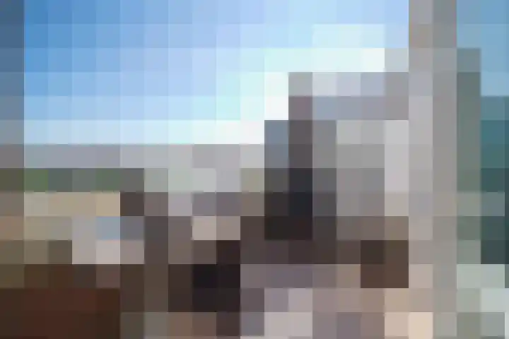 Laan van Wateringse Veld 1041 Den Haag thumbnail 7