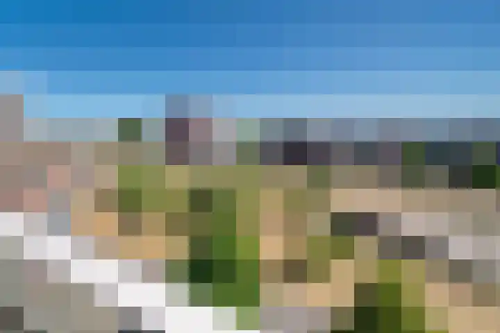 Laan van Wateringse Veld 1041 Den Haag thumbnail 8