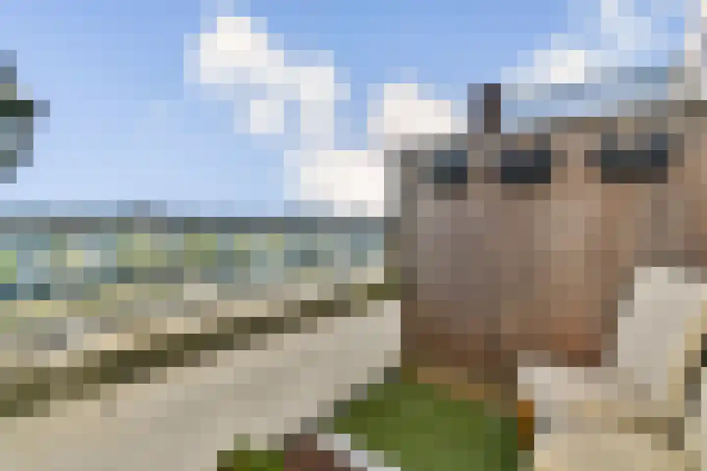 Laan van Wateringse Veld 1045 Den Haag thumbnail 14