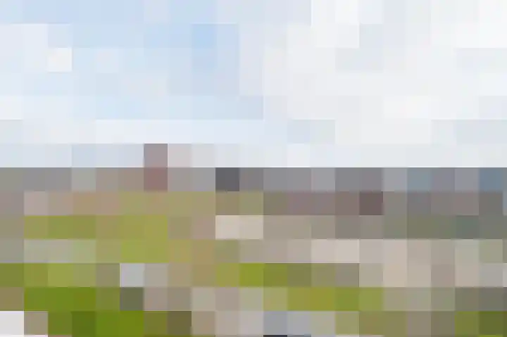 Laan van Wateringse Veld 1053 Den Haag thumbnail 32