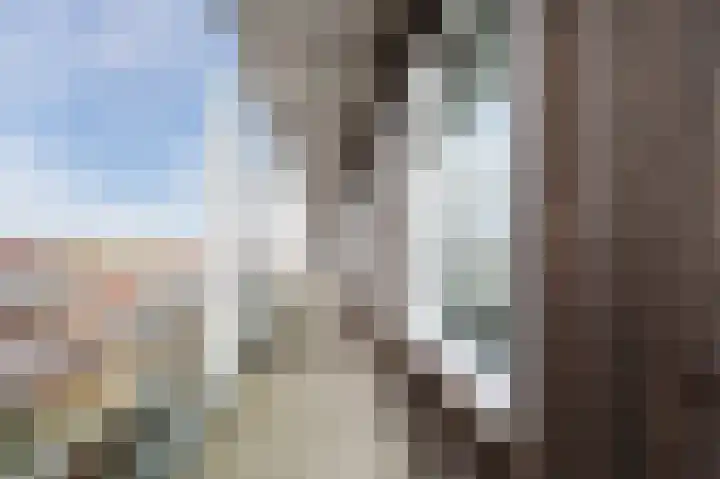 Laan van Wateringse Veld 1053 Den Haag thumbnail 5