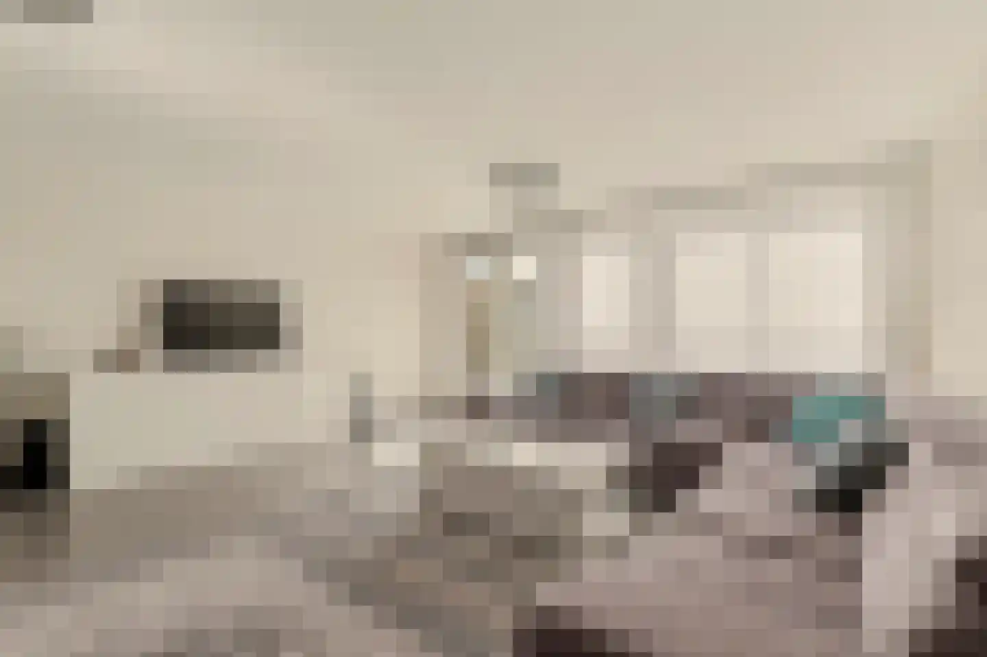 Laan van Wateringse Veld 1055 Den Haag thumbnail 13