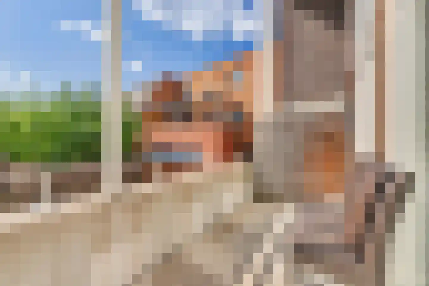 Laan van Wateringse Veld 1055 Den Haag thumbnail 36