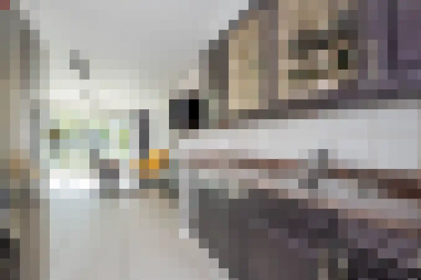 Laan van Wateringse Veld 1066 Den Haag thumbnail 37
