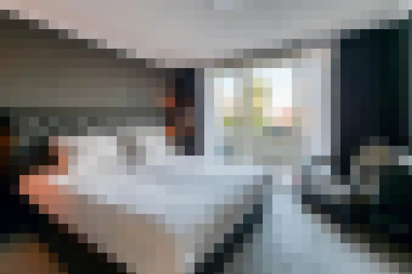 Laan van Wateringse Veld 1066 Den Haag thumbnail 39