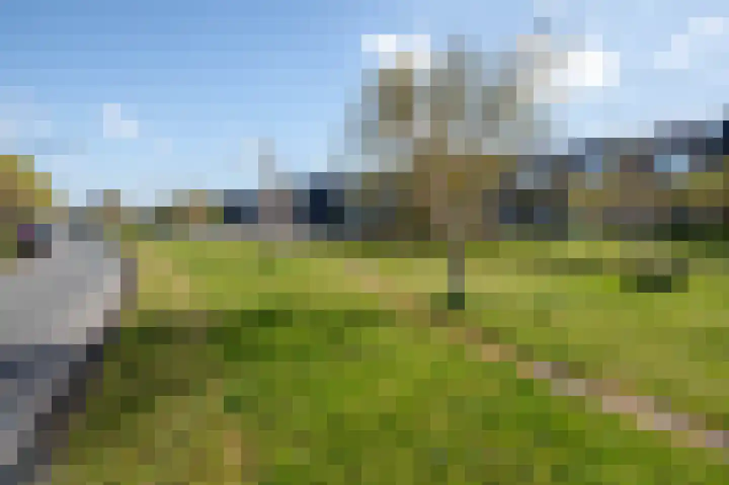 Laan van Wateringse Veld 1066 Den Haag thumbnail 64