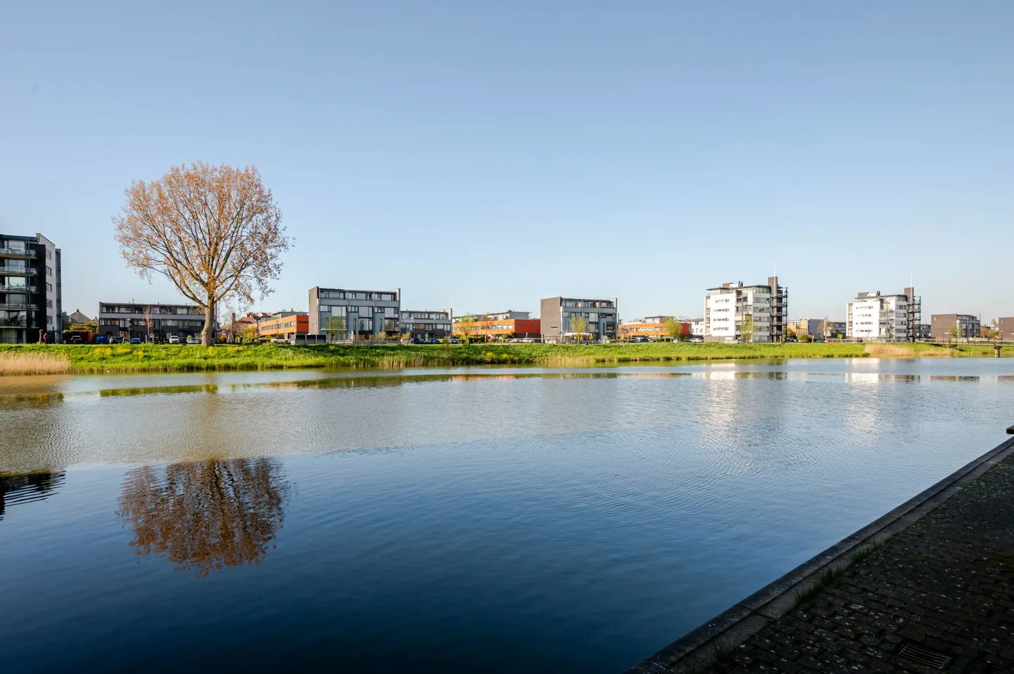 Laan van Wateringse Veld 1066 Den Haag thumbnail 66