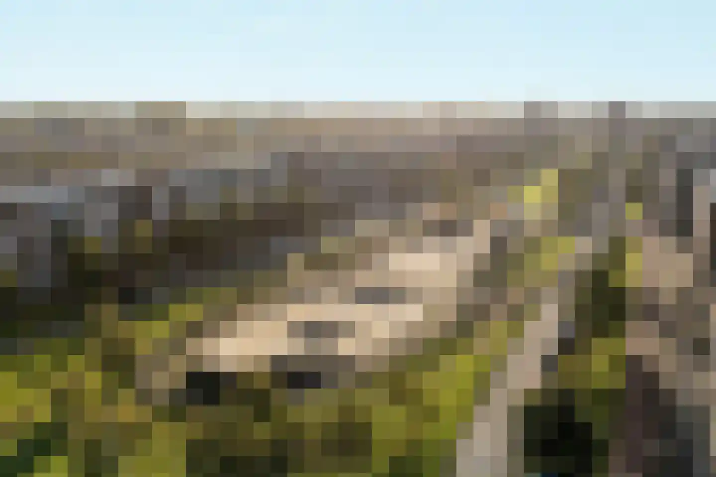 Laan van Wateringse Veld 1072 Den Haag thumbnail 47