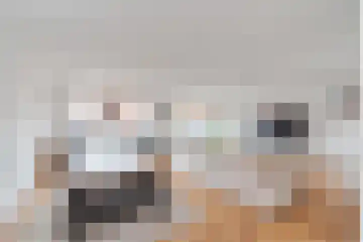 Laan van Wateringse Veld 108 Den Haag thumbnail 12
