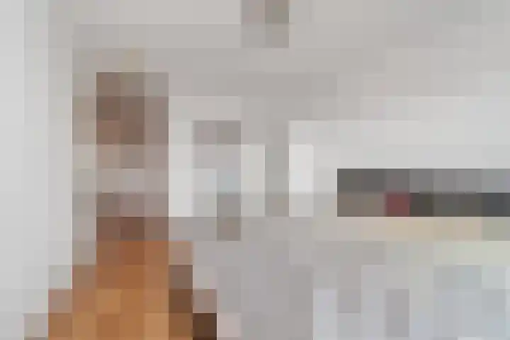 Laan van Wateringse Veld 108 Den Haag thumbnail 17