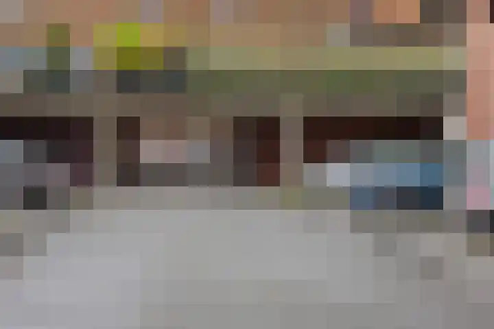 Laan van Wateringse Veld 108 Den Haag thumbnail 24