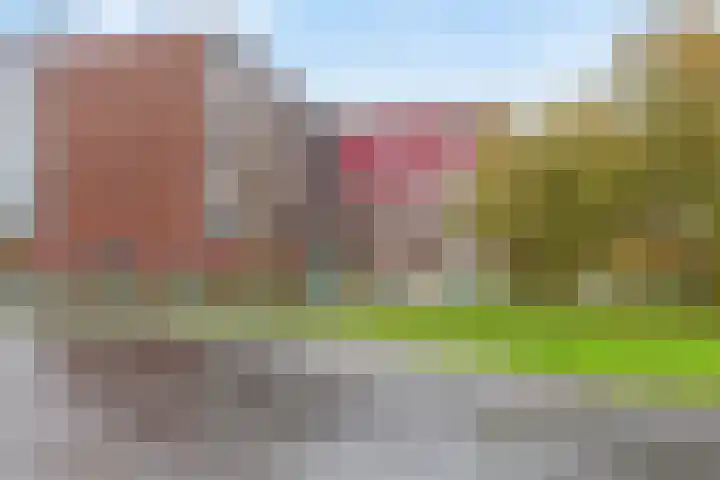 Laan van Wateringse Veld 108 Den Haag thumbnail 25