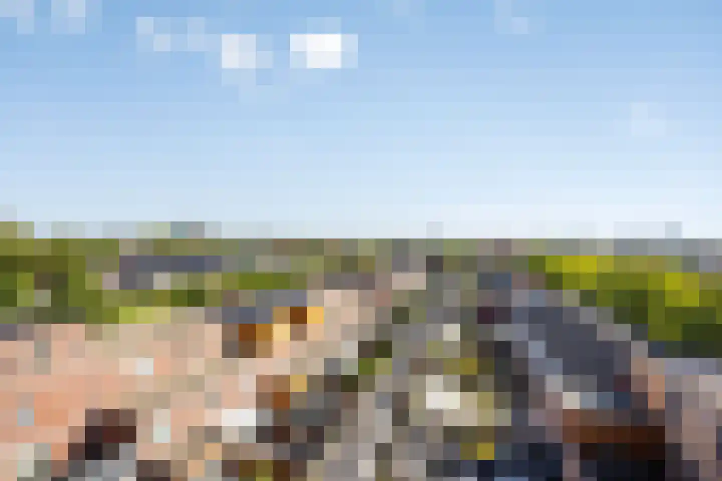 Laan van Wateringse Veld 116 Den Haag thumbnail 25