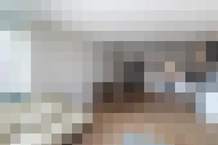 Laan van Wateringse Veld 1340 Den Haag thumbnail 11