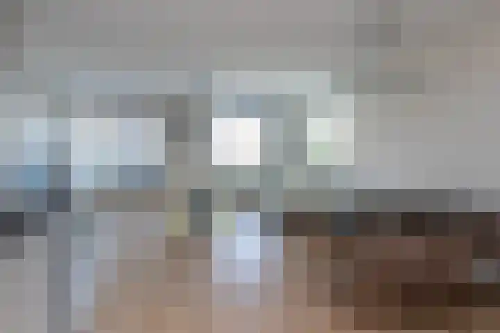Laan van Wateringse Veld 1340 Den Haag thumbnail 16