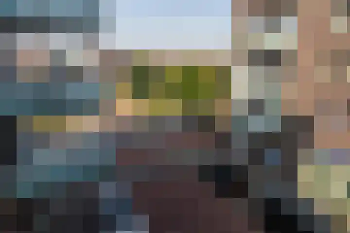 Laan van Wateringse Veld 1340 Den Haag thumbnail 18