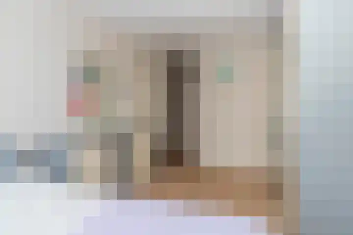 Laan van Wateringse Veld 1340 Den Haag thumbnail 19