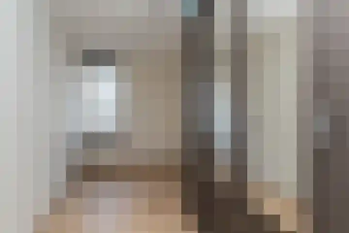 Laan van Wateringse Veld 1340 Den Haag thumbnail 20