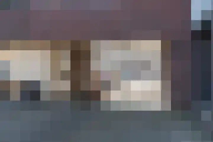 Laan van Wateringse Veld 1340 Den Haag thumbnail 24