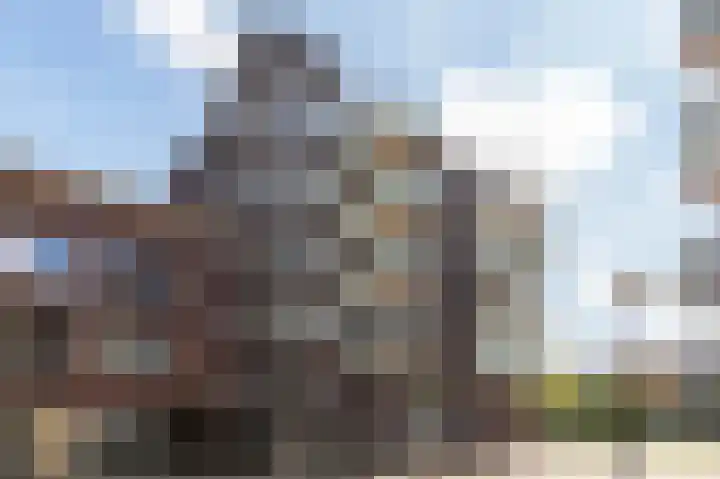 Laan van Wateringse Veld 1340 Den Haag thumbnail 26