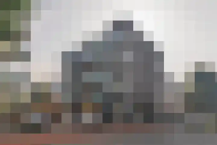 Laan van Wateringse Veld 1340 Den Haag thumbnail 27