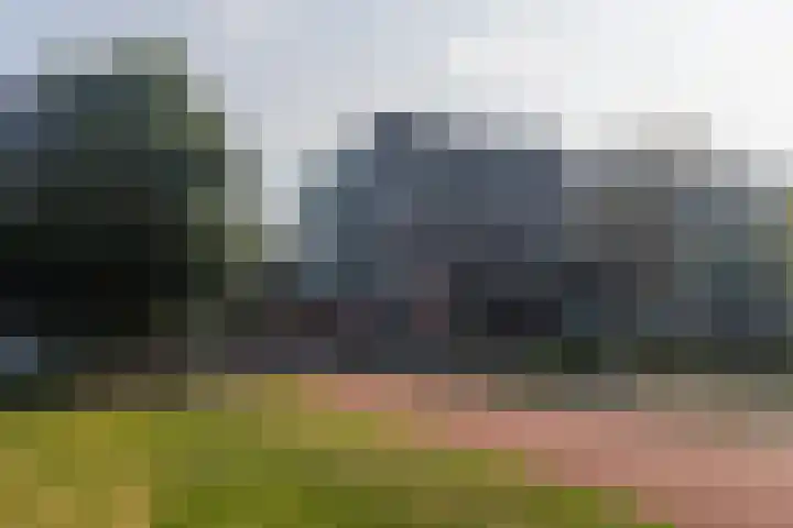 Laan van Wateringse Veld 1340 Den Haag thumbnail 29