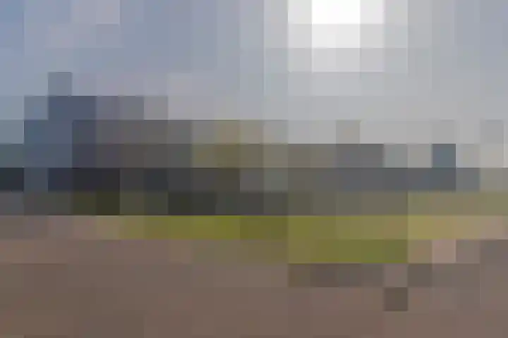 Laan van Wateringse Veld 1340 Den Haag thumbnail 30