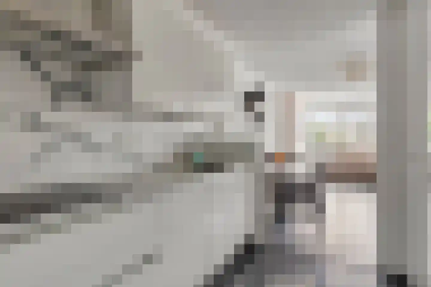 Laan van Wateringse Veld 1342 Den Haag thumbnail 14