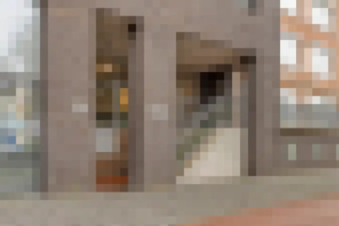 Laan van Wateringse Veld 1342 Den Haag thumbnail 28