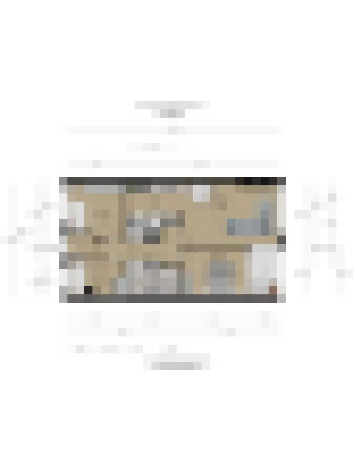 Laan van Wateringse Veld 1342 Den Haag thumbnail 33