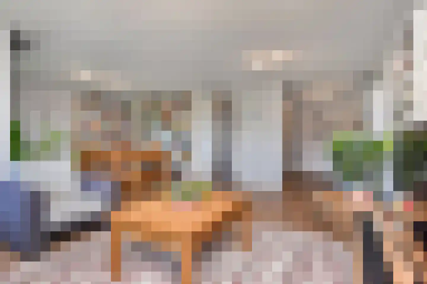 Laan van Wateringse Veld 1350 Den Haag thumbnail 12