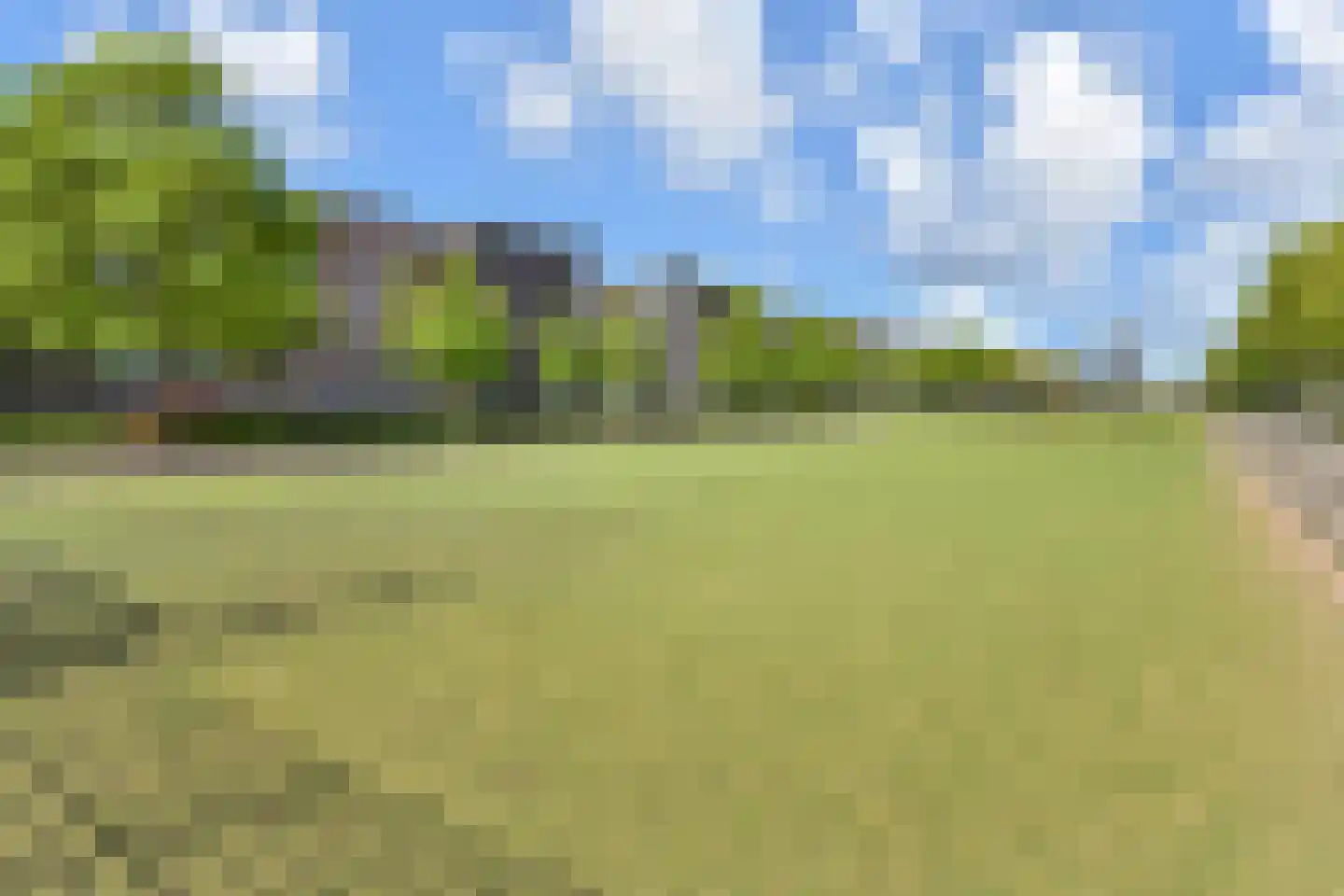 Laan van Wateringse Veld 1350 Den Haag thumbnail 27