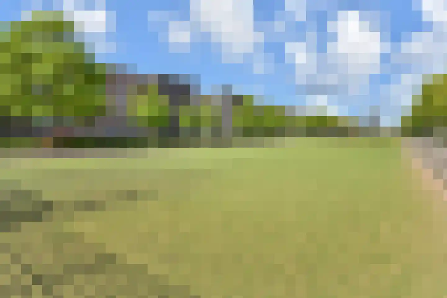 Laan van Wateringse Veld 1350 Den Haag thumbnail 27