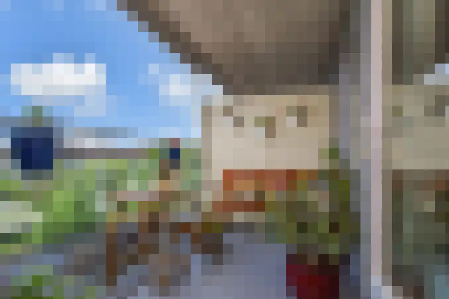Laan van Wateringse Veld 1350 Den Haag thumbnail 4